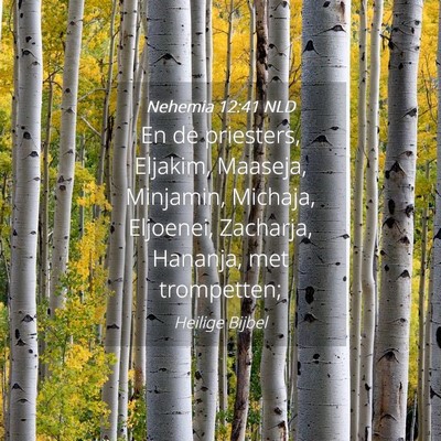 Picture 04 - Nehemia 12:41 NLD - En de priesters, Eljakim, Maaseja, Minjamin, - Bible Verse Picture