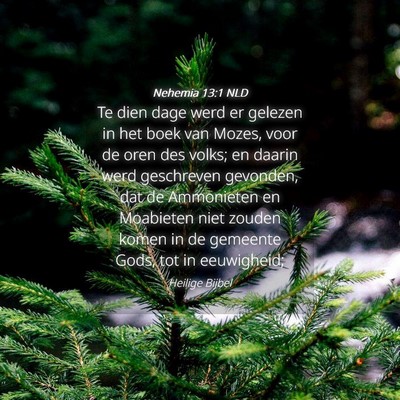 Picture 04 - Nehemia 13:1 NLD - Te dien dage werd er gelezen in het boek van - Bible Verse Picture