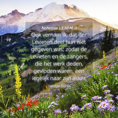 Picture 04 - Nehemia 13:10 NLD - Ook vernam ik, dat der Levieten deel hun niet - Bible Verse Picture