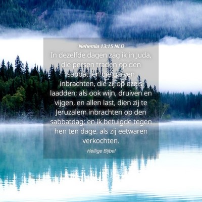Picture 04 - Nehemia 13:15 NLD - In dezelfde dagen zag ik in Juda, die persen - Bible Verse Picture