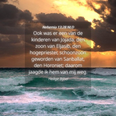 Picture 04 - Nehemia 13:28 NLD - Ook was er een van de kinderen van Jojada, den - Bible Verse Picture