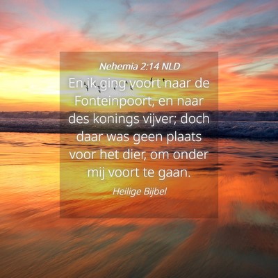 Picture 04 - Nehemia 2:14 NLD - En ik ging voort naar de Fonteinpoort, en naar - Bible Verse Picture