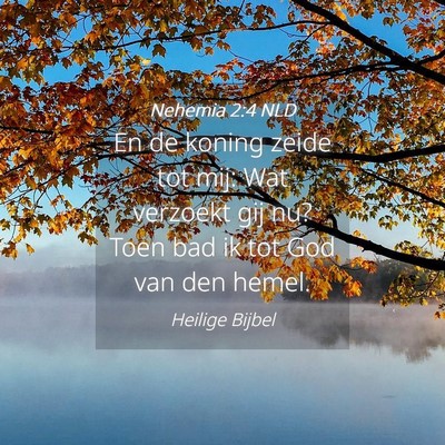 Picture 04 - Nehemia 2:4 NLD - En de koning zeide tot mij: Wat verzoekt gij nu? - Bible Verse Picture