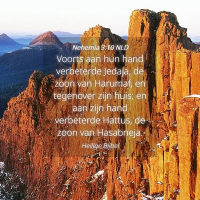 Picture 04 - Nehemia 3:10 NLD - Voorts aan hun hand verbeterde Jedaja, de zoon - Bible Verse Picture