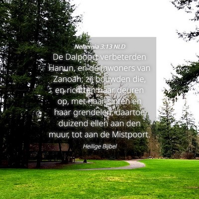 Picture 04 - Nehemia 3:13 NLD - De Dalpoort verbeterden Hanun, en de inwoners van - Bible Verse Picture