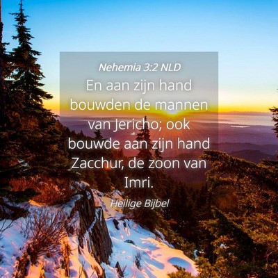 Picture 04 - Nehemia 3:2 NLD - En aan zijn hand bouwden de mannen van Jericho; - Bible Verse Picture