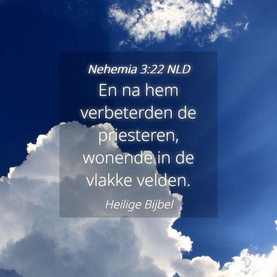 Picture 04 - Nehemia 3:22 NLD - En na hem verbeterden de priesteren, wonende in - Bible Verse Picture