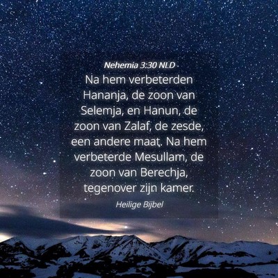 Picture 04 - Nehemia 3:30 NLD - Na hem verbeterden Hananja, de zoon van Selemja, - Bible Verse Picture