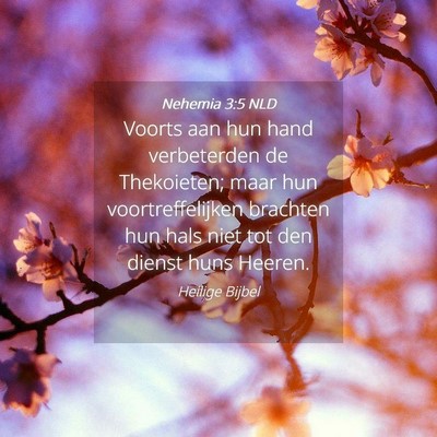 Picture 04 - Nehemia 3:5 NLD - Voorts aan hun hand verbeterden de Thekoieten; - Bible Verse Picture