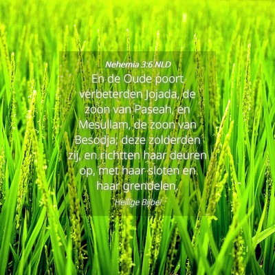 Picture 04 - Nehemia 3:6 NLD - En de Oude poort verbeterden Jojada, de zoon van - Bible Verse Picture