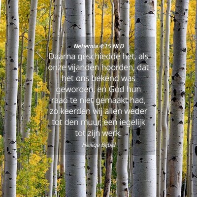 Picture 04 - Nehemia 4:15 NLD - Daarna geschiedde het, als onze vijanden hoorden, - Bible Verse Picture
