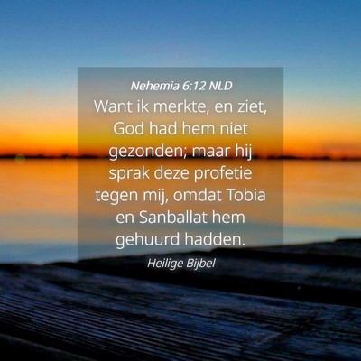 Picture 04 - Nehemia 6:12 NLD - Want ik merkte, en ziet, God had hem niet - Bible Verse Picture