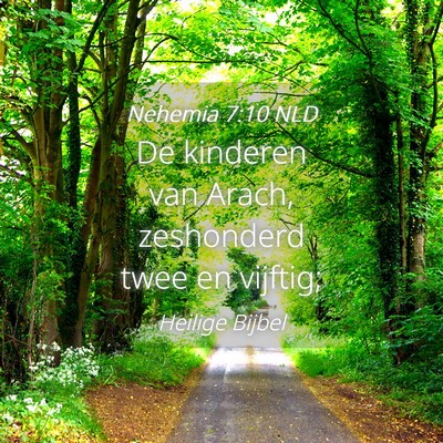Picture 04 - Nehemia 7:10 NLD - De kinderen van Arach, zeshonderd twee en - Bible Verse Picture