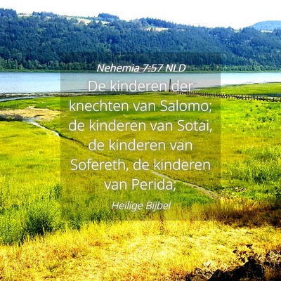 Picture 04 - Nehemia 7:57 NLD - De kinderen der knechten van Salomo; de kinderen - Bible Verse Picture