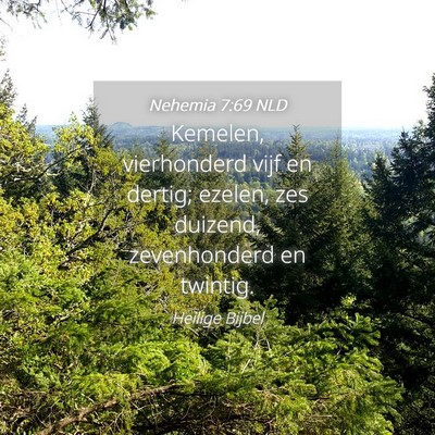 Picture 04 - Nehemia 7:69 NLD - Kemelen, vierhonderd vijf en dertig; ezelen, zes - Bible Verse Picture