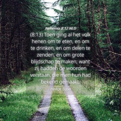Picture 04 - Nehemia 8:12 NLD - (8:13) Toen ging al het volk henen om te eten, en - Bible Verse Picture