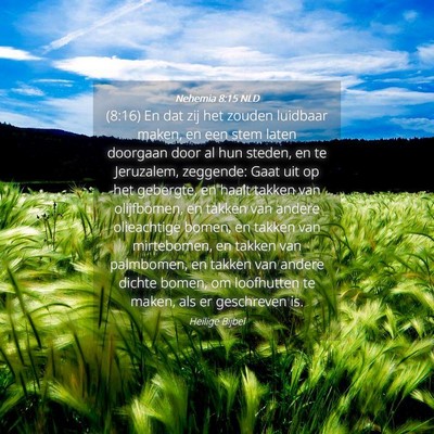 Picture 04 - Nehemia 8:15 NLD - (8:16) En dat zij het zouden luidbaar maken, en - Bible Verse Picture