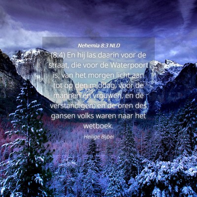 Picture 04 - Nehemia 8:3 NLD - (8:4) En hij las daarin voor de straat, die voor - Bible Verse Picture