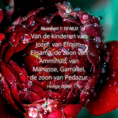 Picture 04 - Numberi 1:10 NLD - Van de kinderen van Jozef: van Efraim, Elisama, - Bible Verse Picture