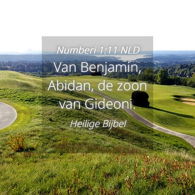 Picture 04 - Numberi 1:11 NLD - Van Benjamin, Abidan, de zoon van - Bible Verse Picture