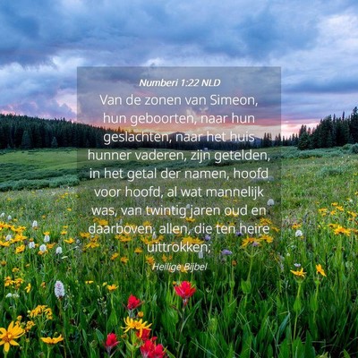 Picture 04 - Numberi 1:22 NLD - Van de zonen van Simeon, hun geboorten, naar hun - Bible Verse Picture