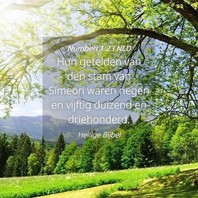 Picture 04 - Numberi 1:23 NLD - Hun getelden van den stam van Simeon waren negen - Bible Verse Picture