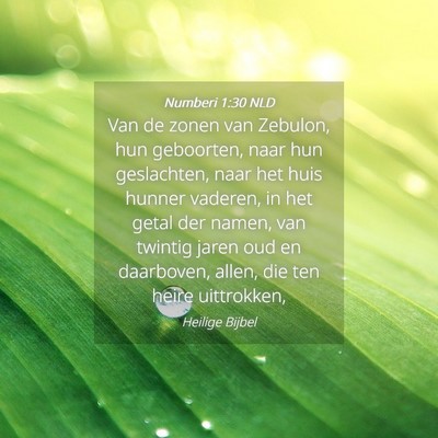 Picture 04 - Numberi 1:30 NLD - Van de zonen van Zebulon, hun geboorten, naar hun - Bible Verse Picture