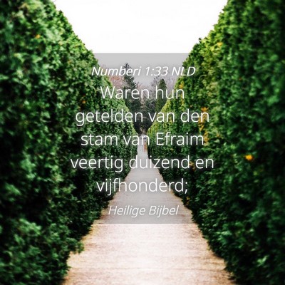 Picture 04 - Numberi 1:33 NLD - Waren hun getelden van den stam van Efraim - Bible Verse Picture