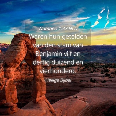Picture 04 - Numberi 1:37 NLD - Waren hun getelden van den stam van Benjamin vijf - Bible Verse Picture
