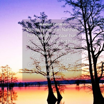 Picture 04 - Numberi 1:42 NLD - Van de zonen van Nafthali, hun geboorten, naar - Bible Verse Picture