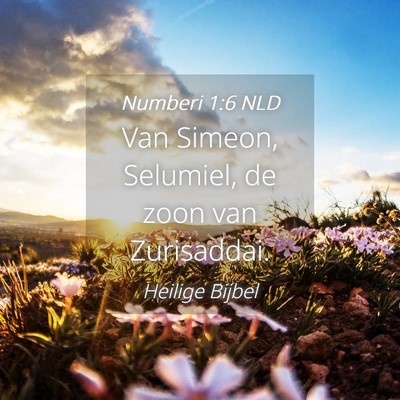 Picture 04 - Numberi 1:6 NLD - Van Simeon, Selumiel, de zoon van - Bible Verse Picture