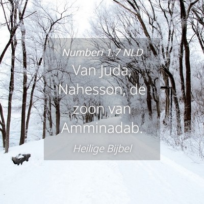 Picture 04 - Numberi 1:7 NLD - Van Juda, Nahesson, de zoon van - Bible Verse Picture