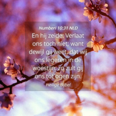 Picture 04 - Numberi 10:31 NLD - En hij zeide: Verlaat ons toch niet; want dewijl - Bible Verse Picture