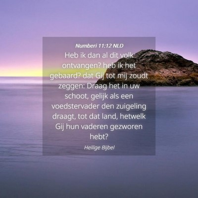 Picture 04 - Numberi 11:12 NLD - Heb ik dan al dit volk ontvangen? heb ik het - Bible Verse Picture