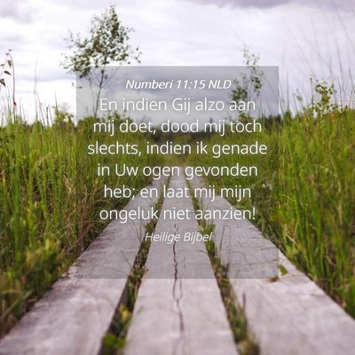 Picture 04 - Numberi 11:15 NLD - En indien Gij alzo aan mij doet, dood mij toch - Bible Verse Picture