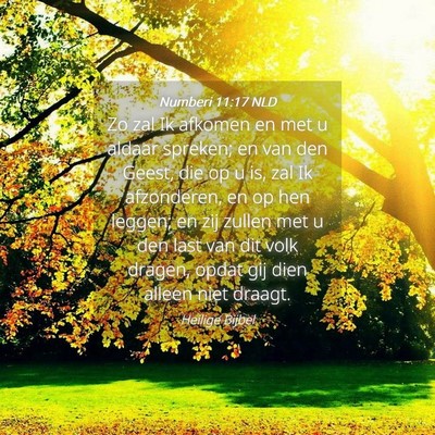 Picture 04 - Numberi 11:17 NLD - Zo zal Ik afkomen en met u aldaar spreken; en van - Bible Verse Picture