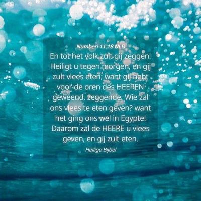 Picture 04 - Numberi 11:18 NLD - En tot het volk zult gij zeggen: Heiligt u tegen - Bible Verse Picture
