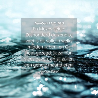 Picture 04 - Numberi 11:21 NLD - En Mozes zeide: Zeshonderd duizend te voet is dit - Bible Verse Picture