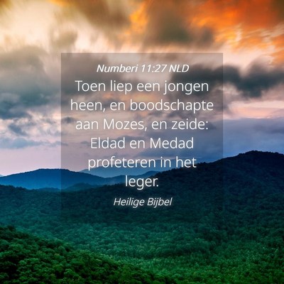 Picture 04 - Numberi 11:27 NLD - Toen liep een jongen heen, en boodschapte aan - Bible Verse Picture