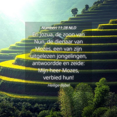 Picture 04 - Numberi 11:28 NLD - En Jozua, de zoon van Nun, de dienaar van Mozes, - Bible Verse Picture