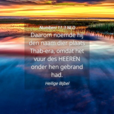 Picture 04 - Numberi 11:3 NLD - Daarom noemde hij den naam dier plaats Thab-era, - Bible Verse Picture