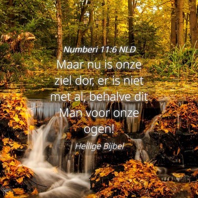 Picture 04 - Numberi 11:6 NLD - Maar nu is onze ziel dor, er is niet met al, - Bible Verse Picture