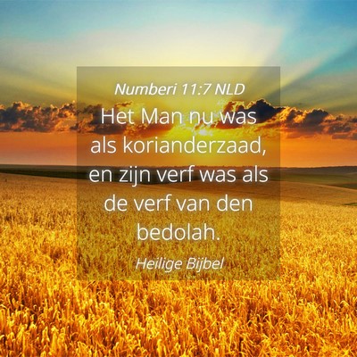 Picture 04 - Numberi 11:7 NLD - Het Man nu was als korianderzaad, en zijn verf - Bible Verse Picture