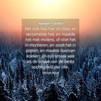 Picture 04 - Numberi 11:8 NLD - Het volk liep hier en daar, en verzamelde het, en - Bible Verse Picture