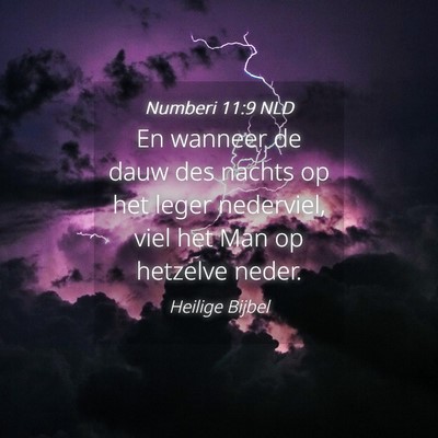 Picture 04 - Numberi 11:9 NLD - En wanneer de dauw des nachts op het leger - Bible Verse Picture