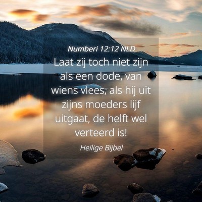 Picture 04 - Numberi 12:12 NLD - Laat zij toch niet zijn als een dode, van wiens - Bible Verse Picture