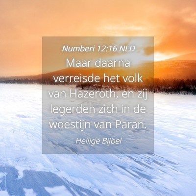Picture 04 - Numberi 12:16 NLD - Maar daarna verreisde het volk van Hazeroth, en - Bible Verse Picture