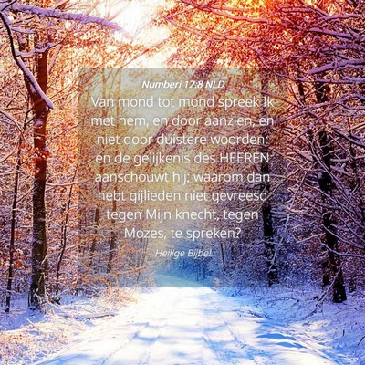 Picture 04 - Numberi 12:8 NLD - Van mond tot mond spreek Ik met hem, en door - Bible Verse Picture