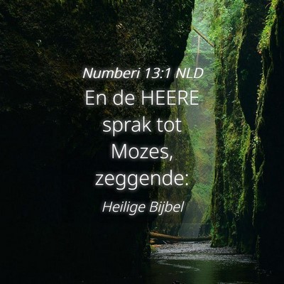Picture 04 - Numberi 13:1 NLD - En de HEERE sprak tot Mozes, - Bible Verse Picture