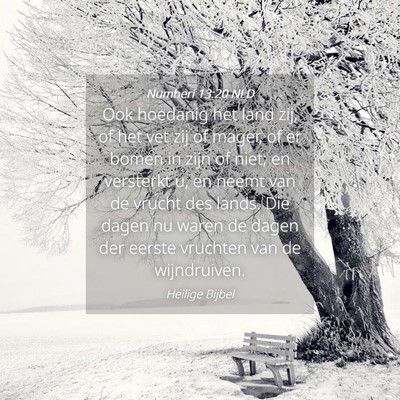 Picture 04 - Numberi 13:20 NLD - Ook hoedanig het land zij, of het vet zij of - Bible Verse Picture